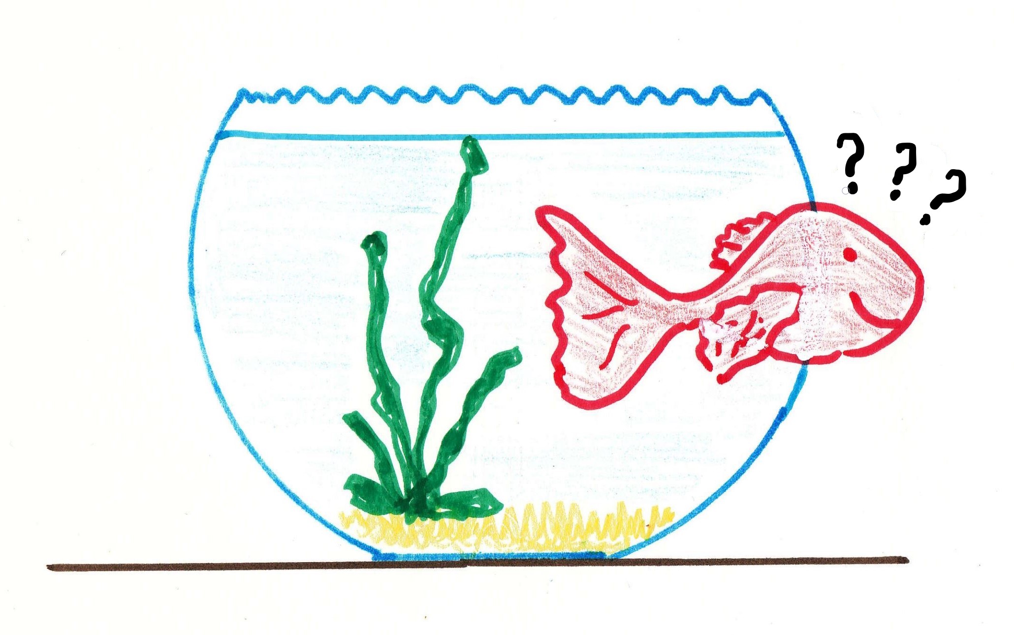 Afbeelding van een vissekom met goudvis die door het glas gaat.